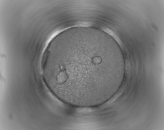 X0000091101083200708131102