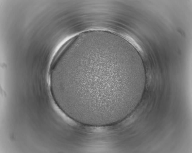 X0000091101084200708131102