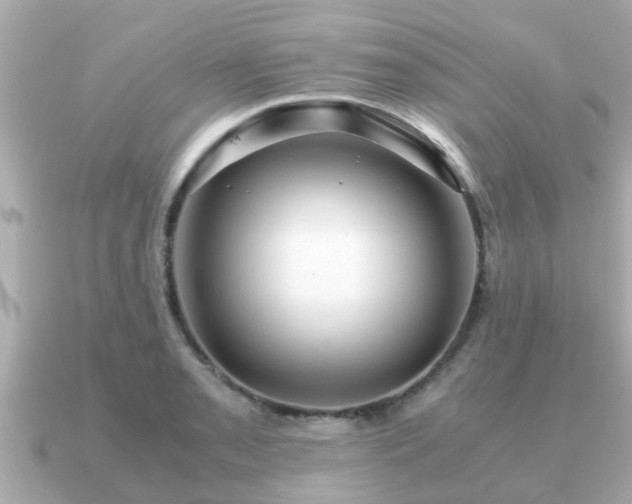 X0000091101085200708131102