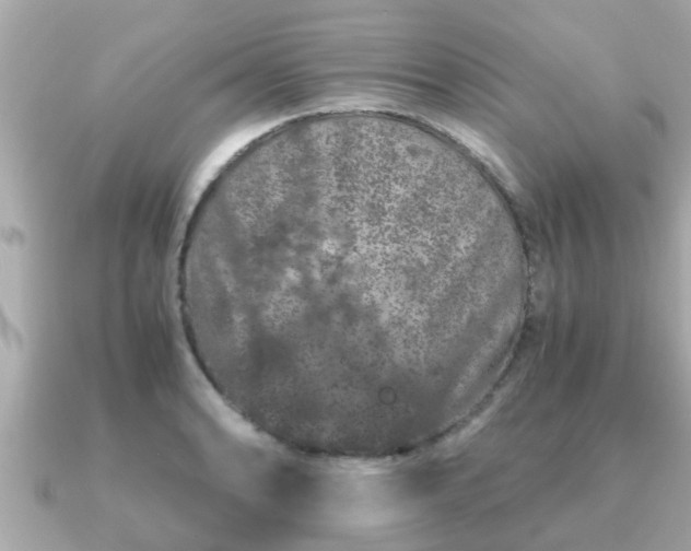 X0000091101086200708131102