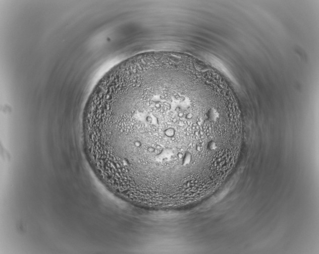 X0000091101087200708131102