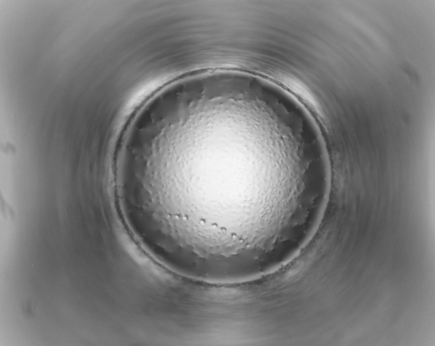 X0000091101088200708131102