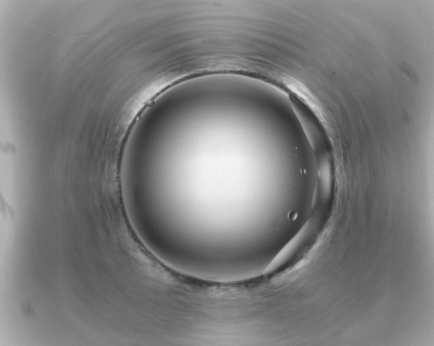 X0000091101089200708131102