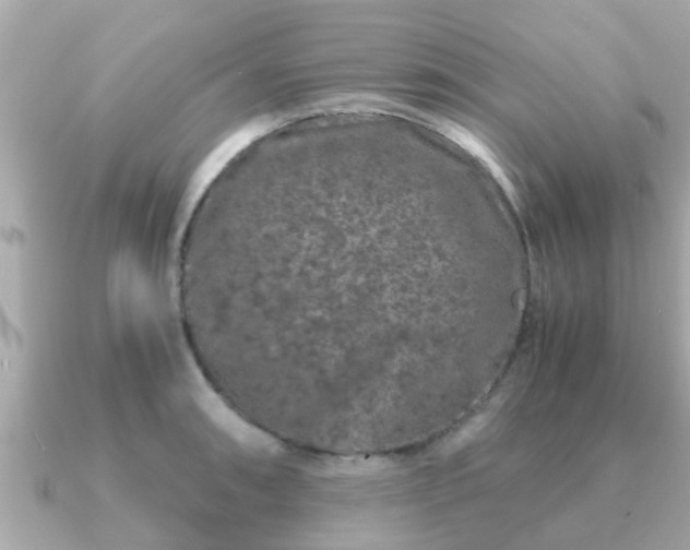 X0000091101090200708131102