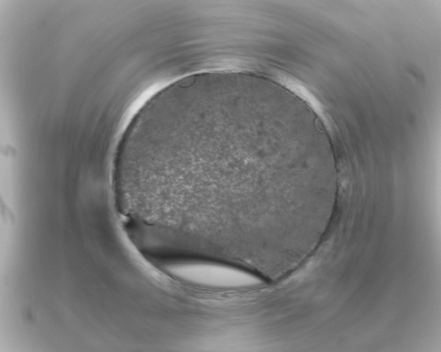 X0000091101091200708131102