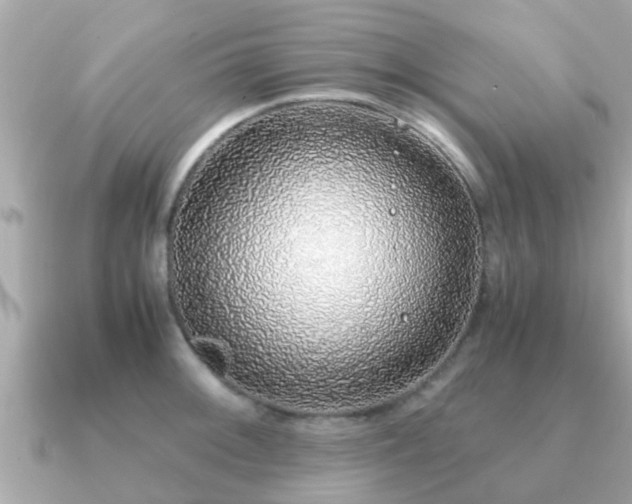 X0000091101092200708131102