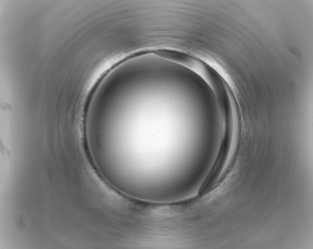 X0000091101093200708131102