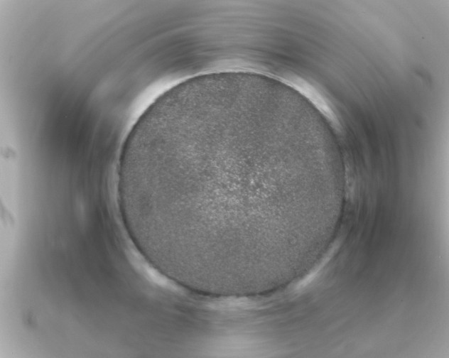 X0000091101094200708131102