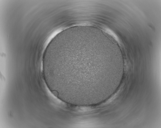 X0000091101095200708131102