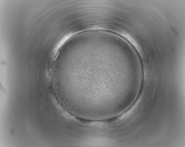 X0000091101097200708131102