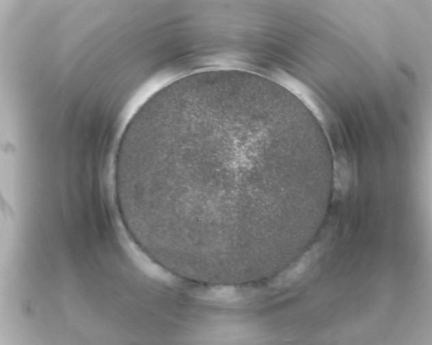 X0000091101098200708131102