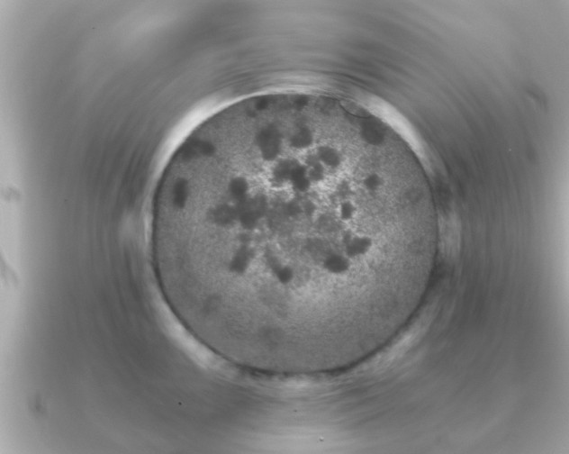 X0000091101099200708131102