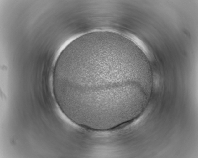 X0000091101100200708131102