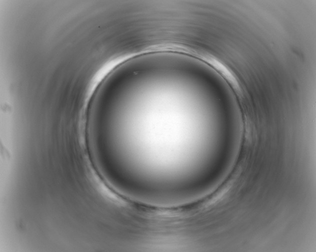 X0000091101102200708131102