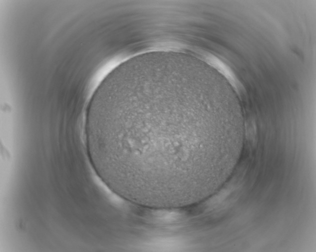 X0000091101103200708131101