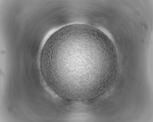 X0000091101104200708131101