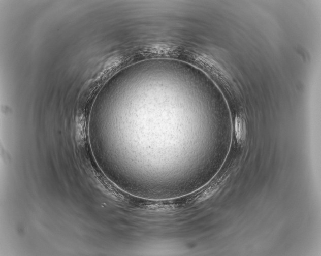 X0000091101107200708131101