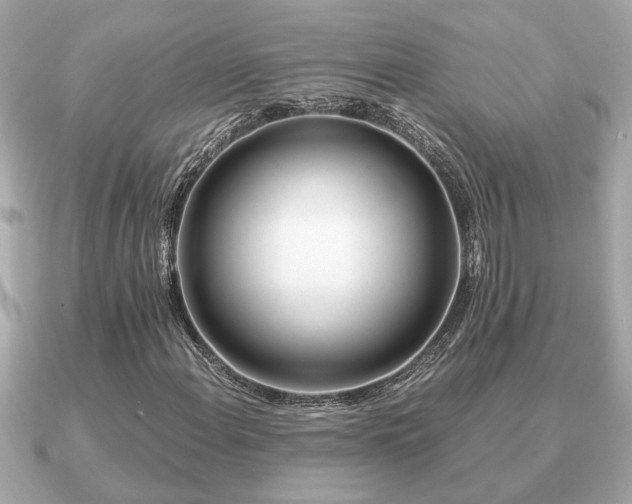 X0000091101108200708131101