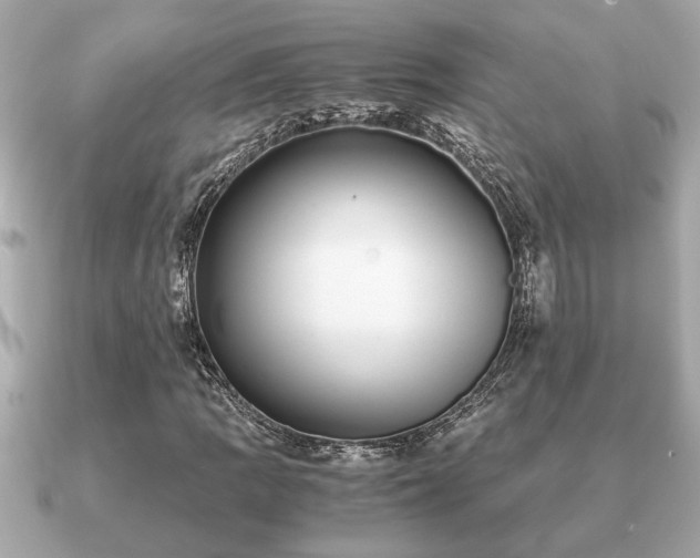 X0000091101109200708131101