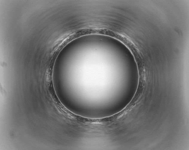 X0000091101110200708131101