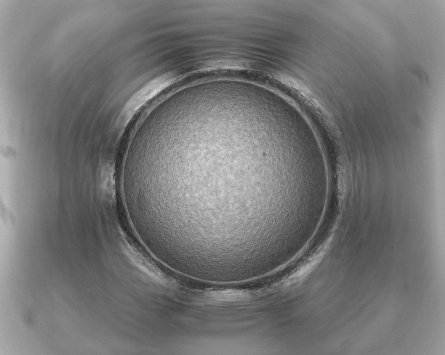 X0000091101113200708131101