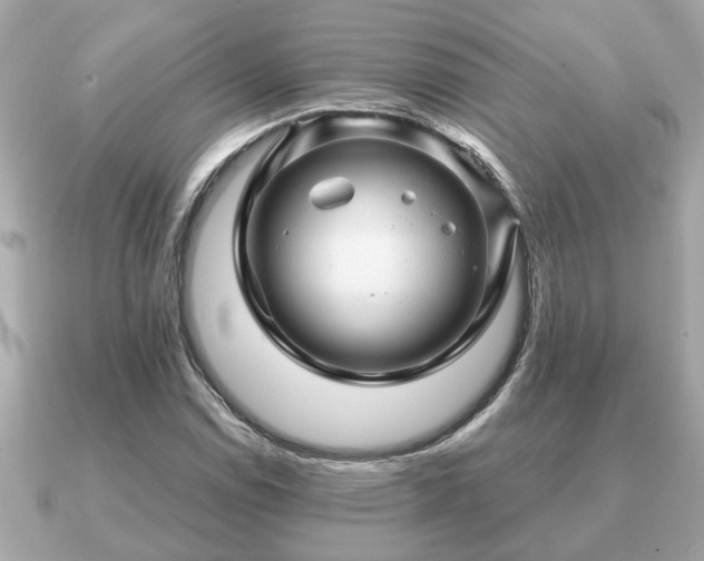 X0000091101114200708131101