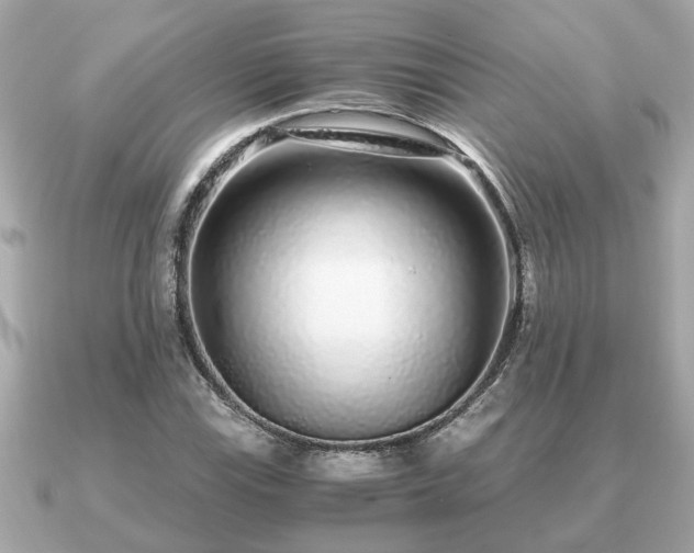 X0000091101115200708131101