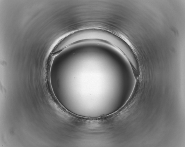 X0000091101116200708131101