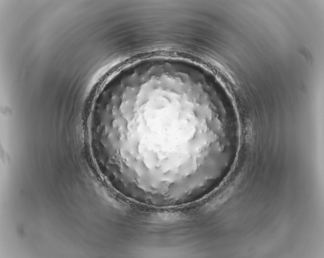 X0000091101117200708131101