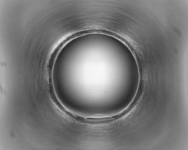 X0000091101118200708131101