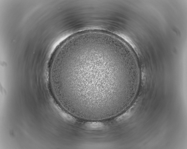 X0000091101119200708131101