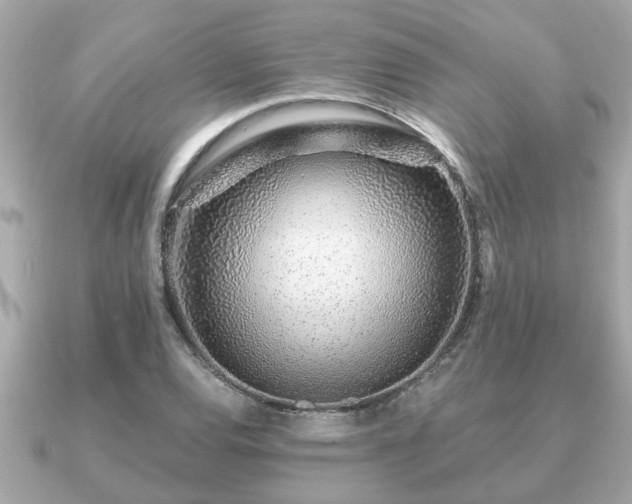 X0000091101120200708131101