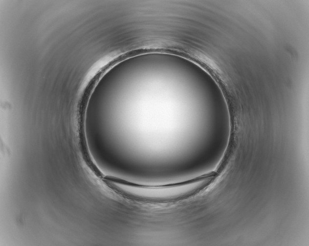 X0000091101122200708131101