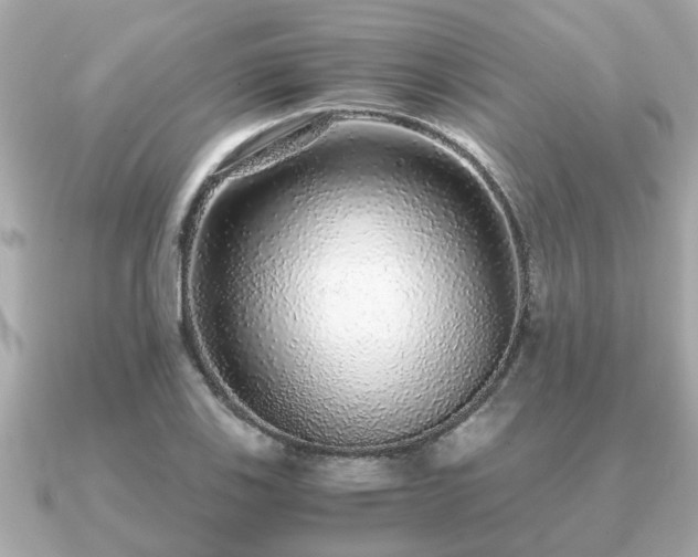 X0000091101123200708131101