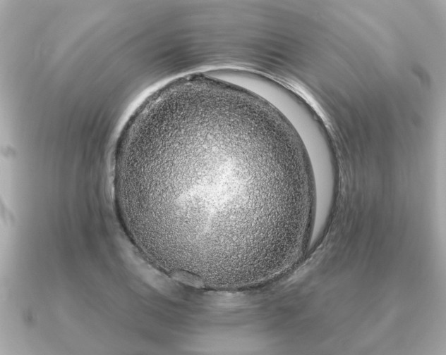 X0000091101124200708131101