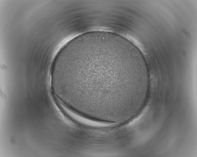 X0000091101125200708131101