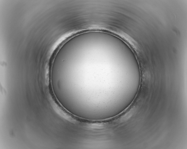 X0000091101126200708131101