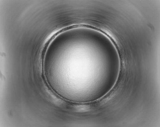 X0000091101127200708131101