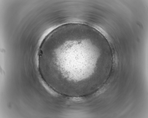 X0000091101128200708131101