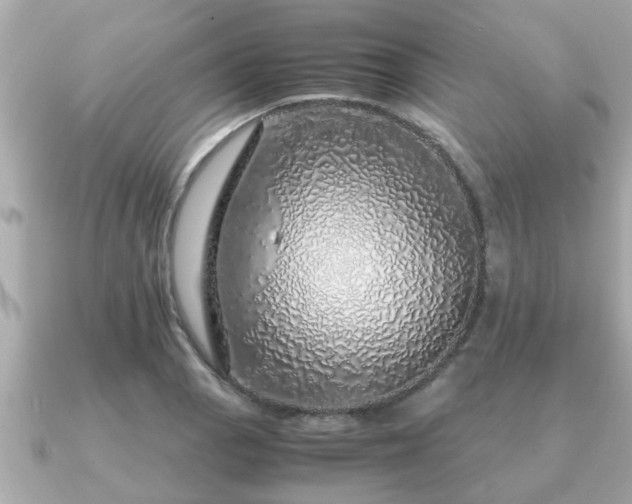 X0000091101129200708131101