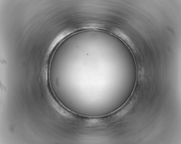 X0000091101130200708131101