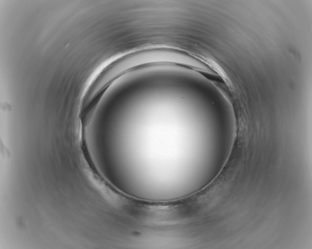 X0000091101132200708131101