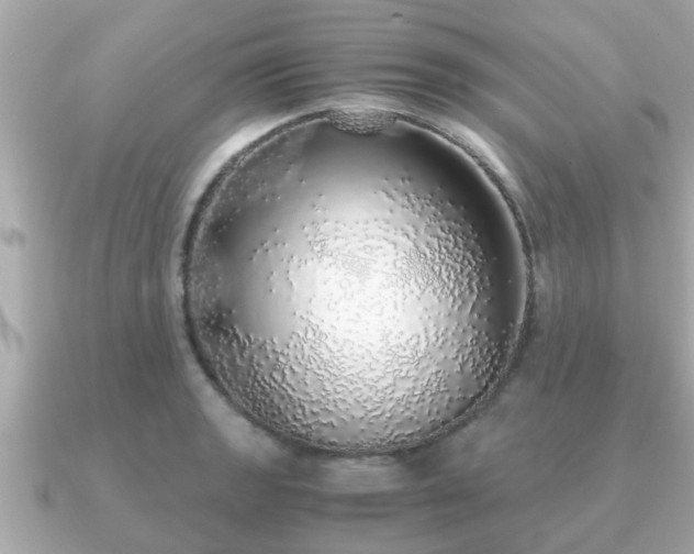 X0000091101133200708131101