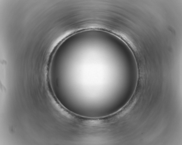 X0000091101134200708131101