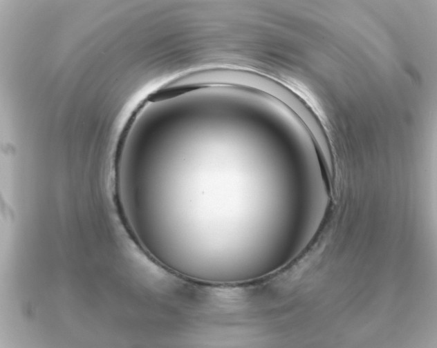 X0000091101136200708131101