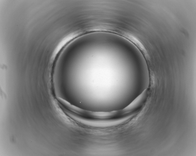 X0000091101138200708131101