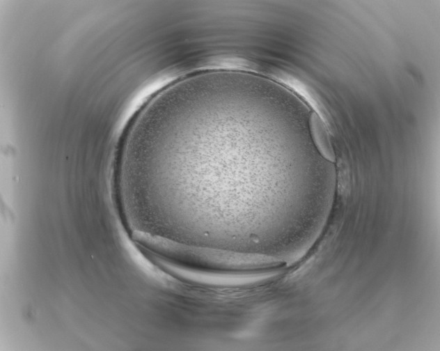 X0000091101139200708131101