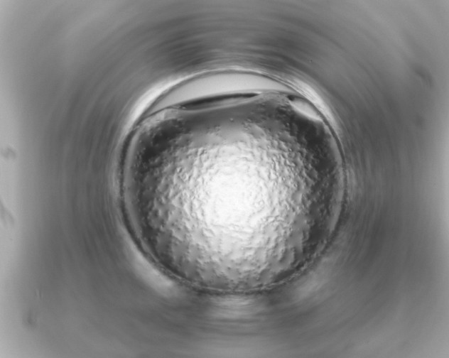 X0000091101141200708131101