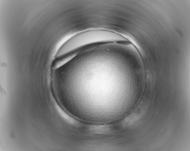 X0000091101143200708131101