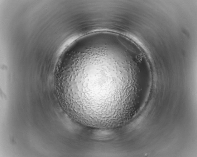 X0000091101145200708131101